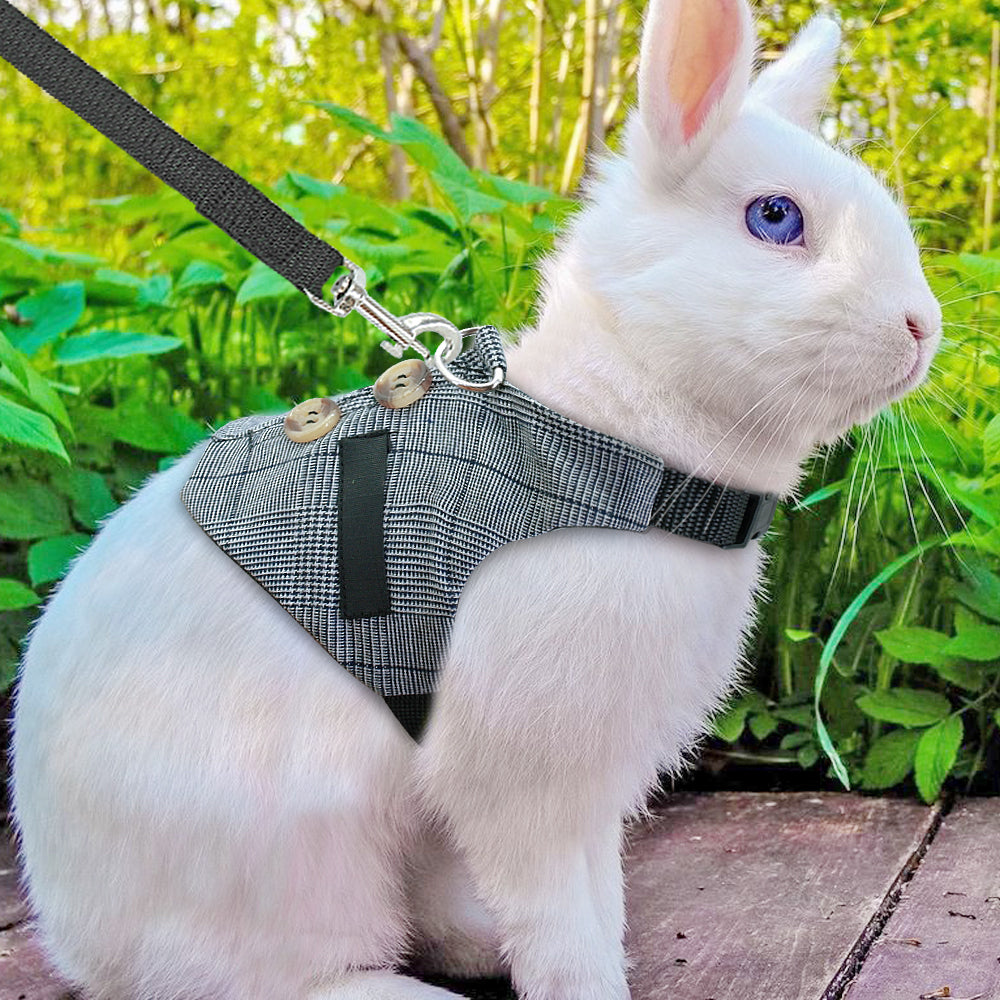 Pettorina Elegante a Gilet per Conigli: Passeggiate Sicure, Stile Unico e Zero Fughe 🐰🎩