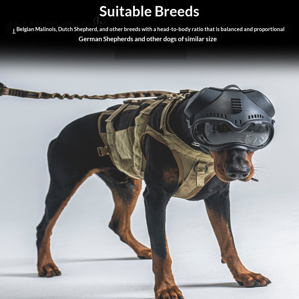 🐶🕶️ Maschera Tattica K9 con Occhiali Protettivi - Equipaggiamento d'Élite per Esploratori!