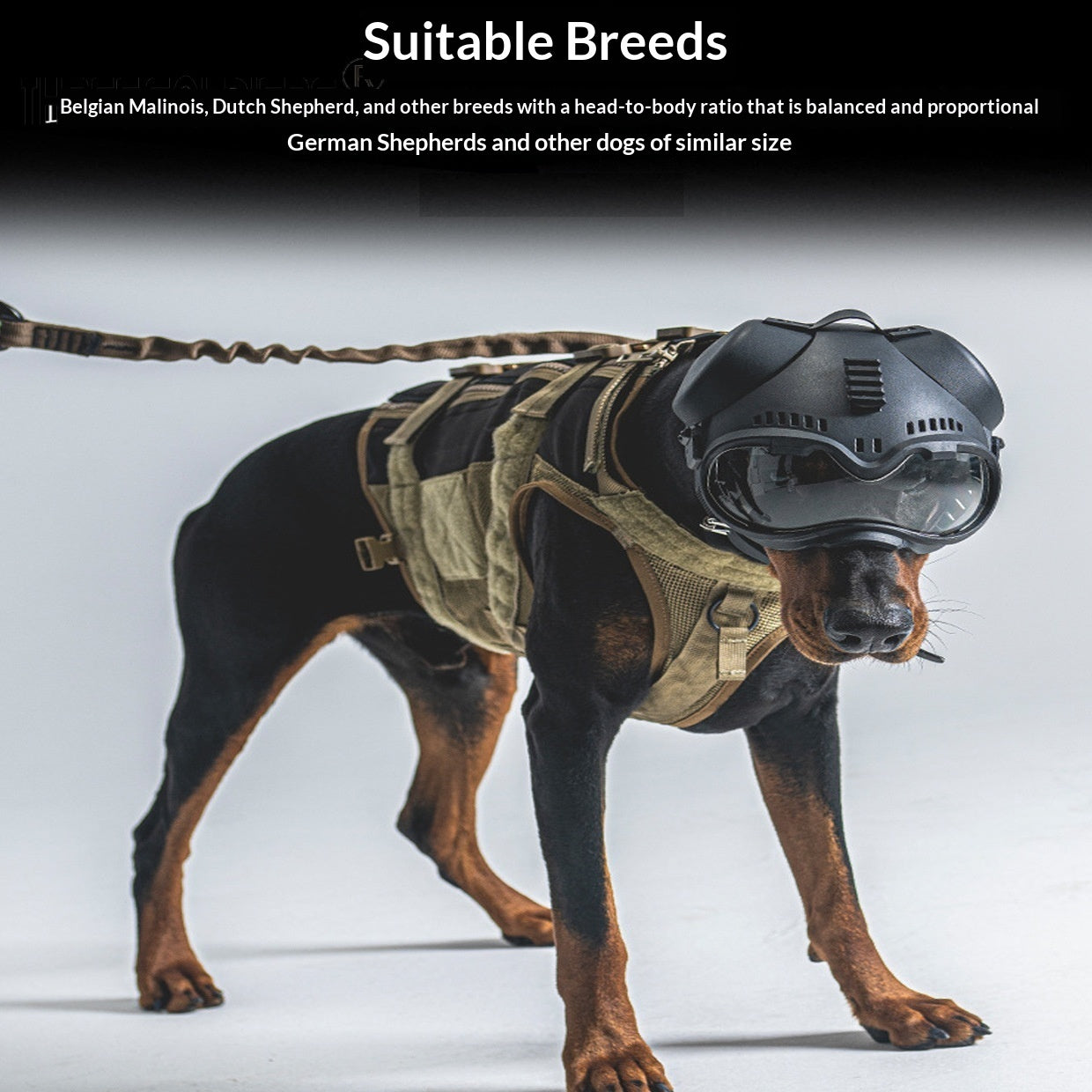 🐶🕶️ Maschera Tattica K9 con Occhiali Protettivi - Equipaggiamento d'Élite per Esploratori!