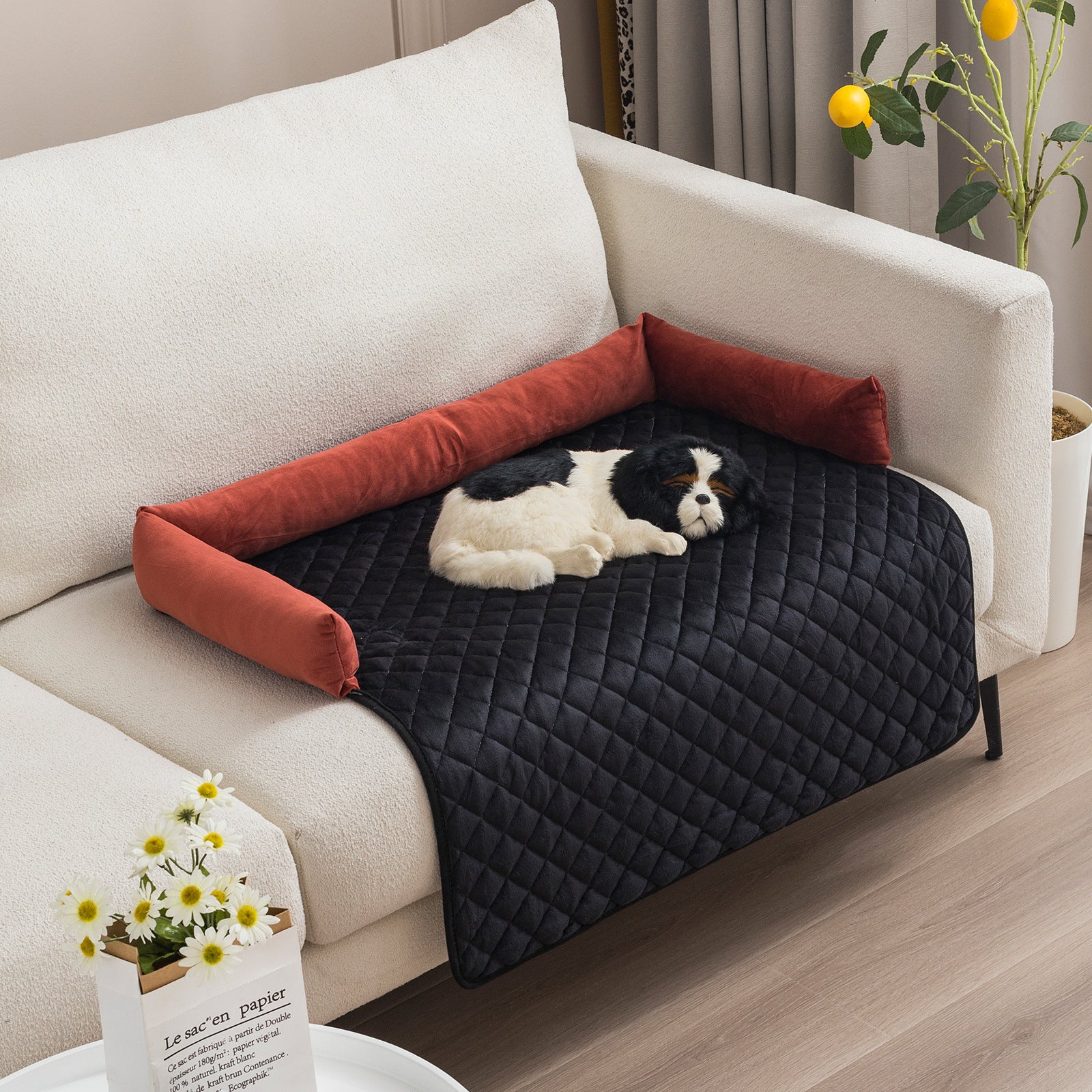 🛋️🛡️ Copri divano , Letto per Cani - Protezione Totale per Mobili e Comfort Extra!