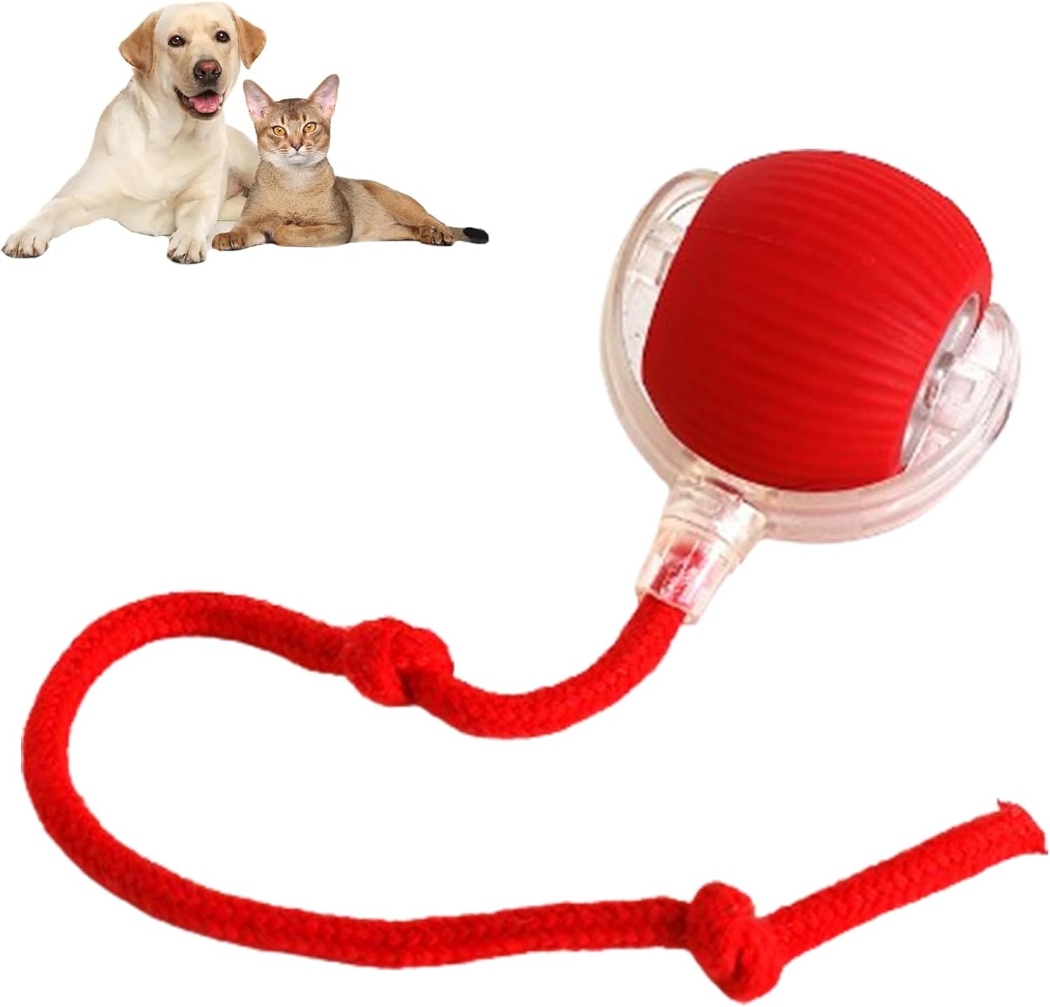 🐶⚽ Pallina Automatica Interattiva con Luce LED e Coda - Caccia al Tesoro Inesauribile!