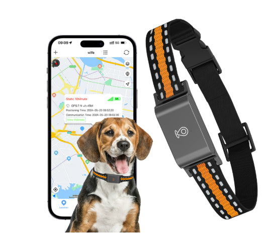 🌍📍 Collare GPS Localizzatore Satellitare per Cani e Gatti - Mai Più Smarriti!