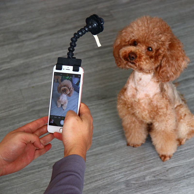 Selfie Stick per smartphone
Selfie Stick per Cani , per foto perfette 📸