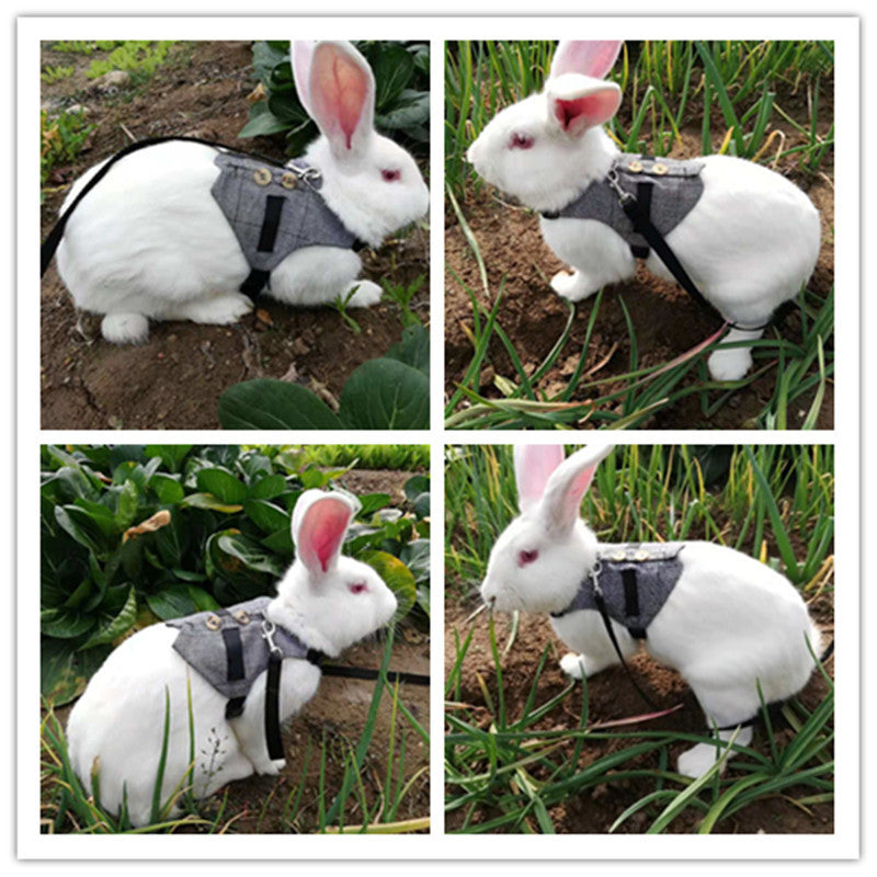 Pettorina Elegante a Gilet per Conigli: Passeggiate Sicure, Stile Unico e Zero Fughe 🐰🎩
