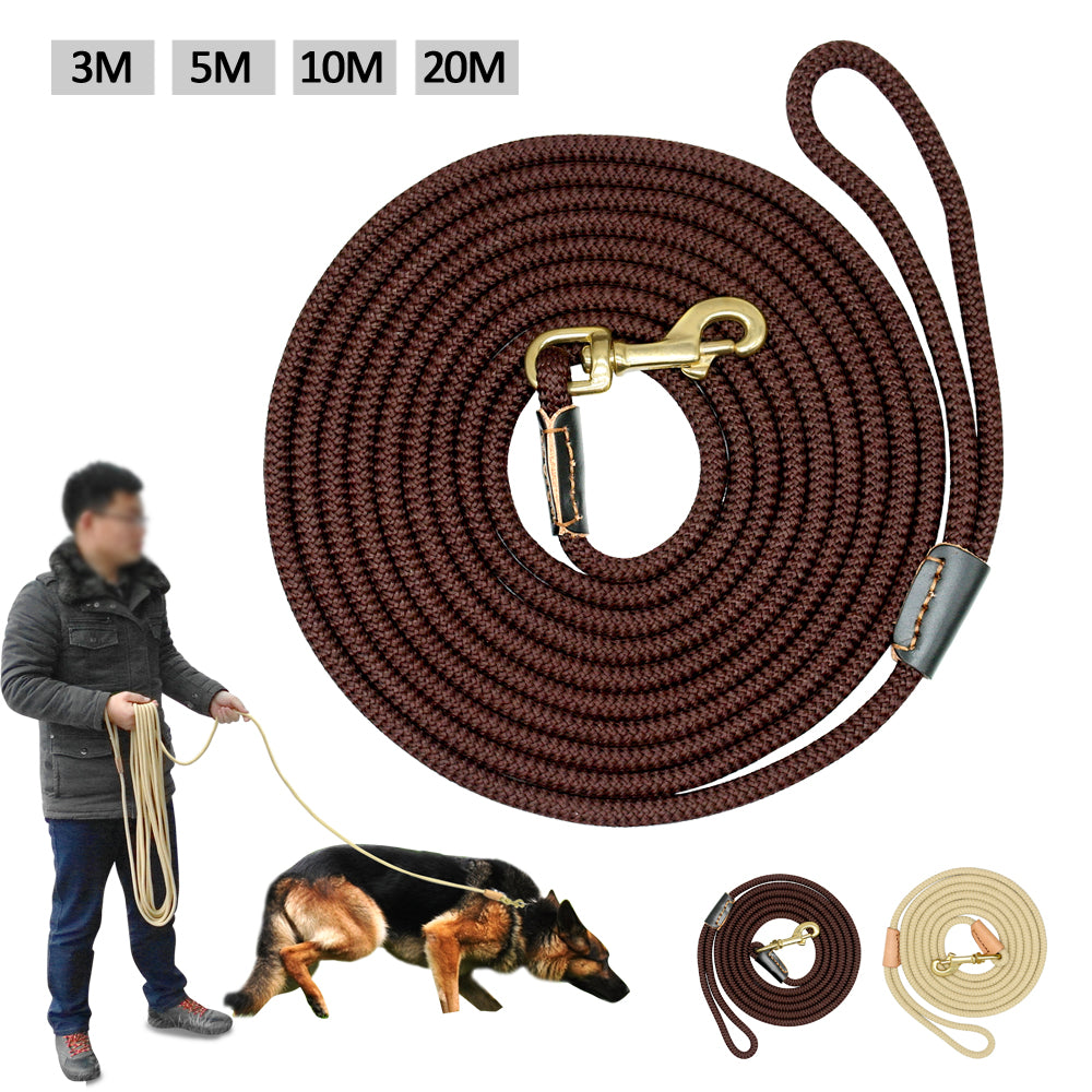 🐶📏 Lunghina da Addestramento e Ricerca - Fino a 20 Metri di Libertà Controllata!