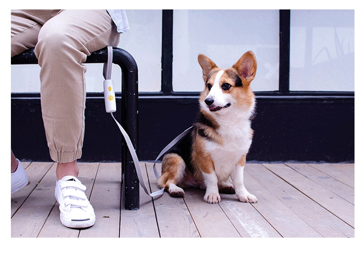 🐶☕ Guinzaglio Moderno Hands -Free con Aggancio Rapido a Clip - Libertà Totale!