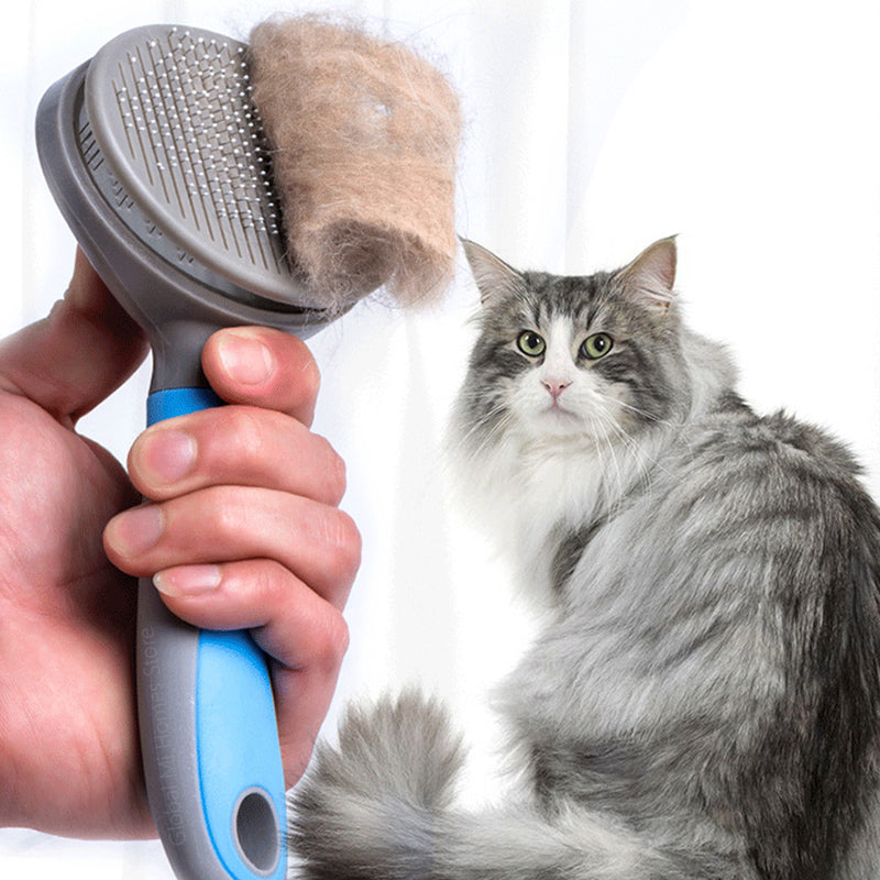 ☁️🐾 Spazzola Cardatore Professionale con Aghi in Acciaio e Tasto Autopulente