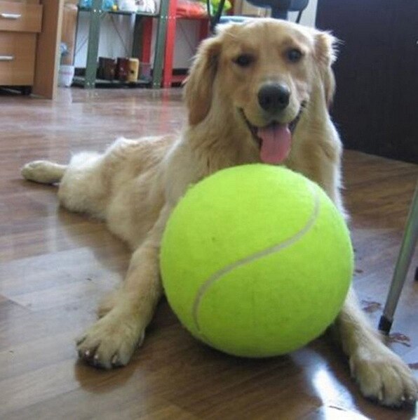 🎾 Palla da Tennis Gigante in Gomma: Divertimento Extra-Large! 🐕