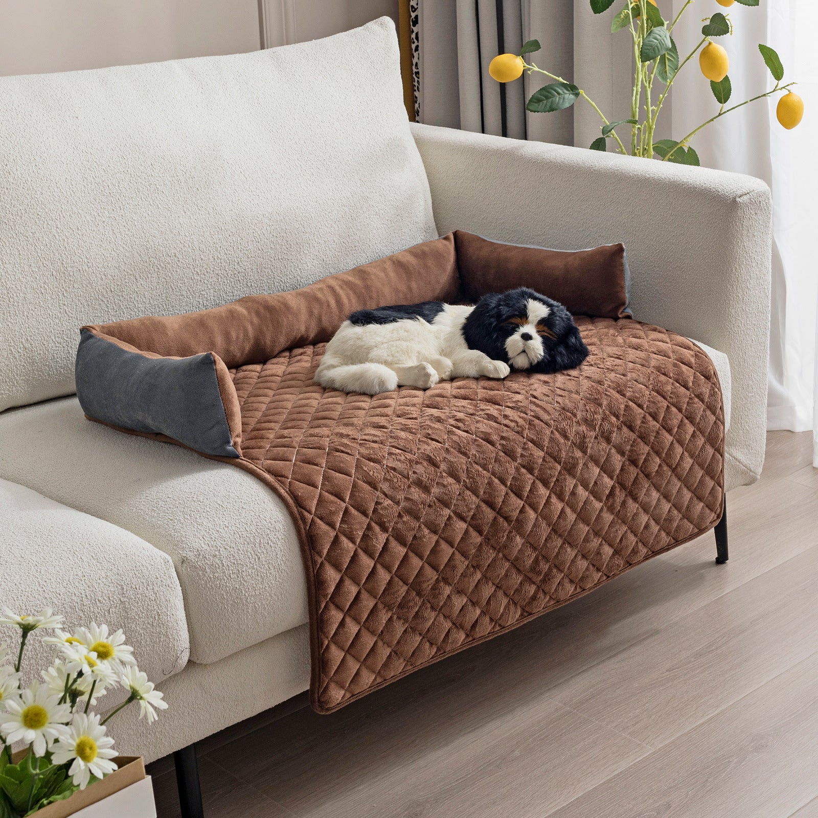🛋️🛡️ Copri divano , Letto per Cani - Protezione Totale per Mobili e Comfort Extra!