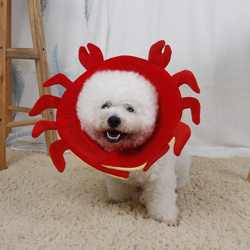 🐸🐾 Collare Protettivo Morbido a Tema Animali - Convalescenza Comoda e Simpatica! Cani e Gatti