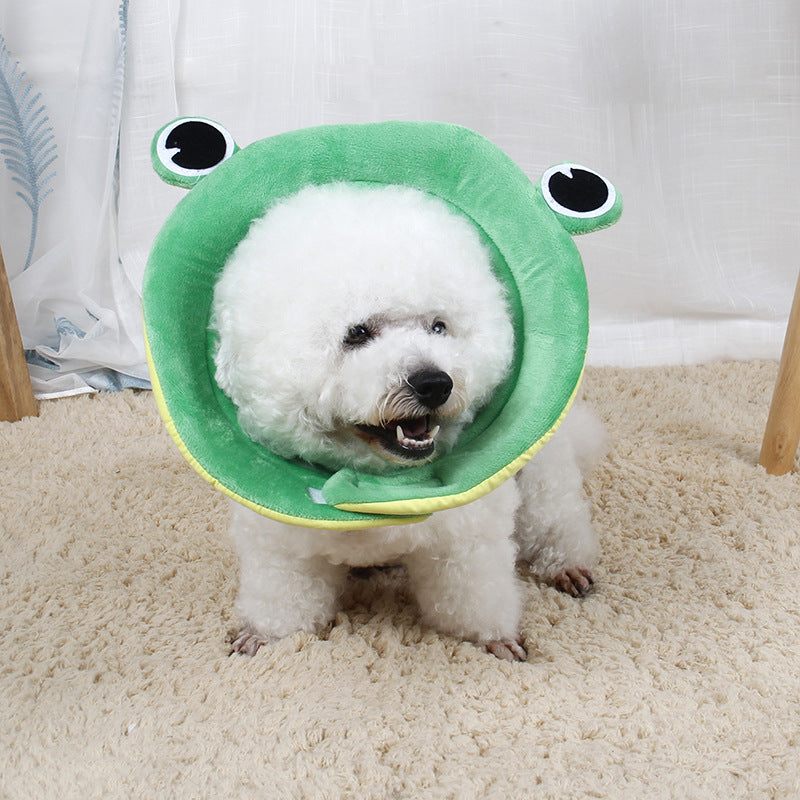 🐸🐾 Collare Protettivo Morbido a Tema Animali - Convalescenza Comoda e Simpatica! Cani e Gatti
