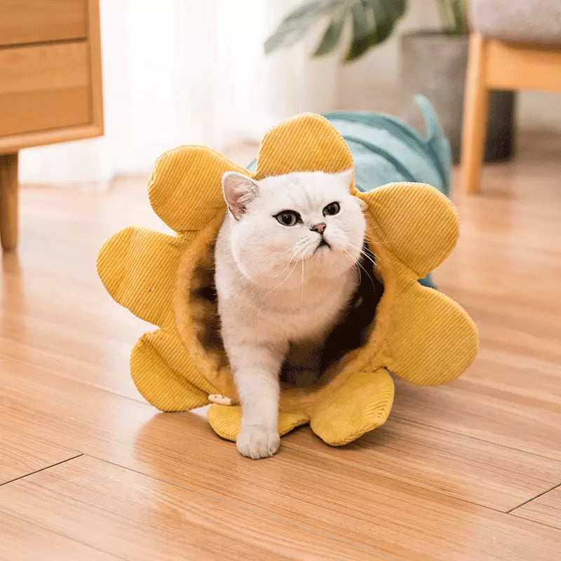 Tunnel Gioco Morbido a Forma di Girasole per Gatti e Furetti