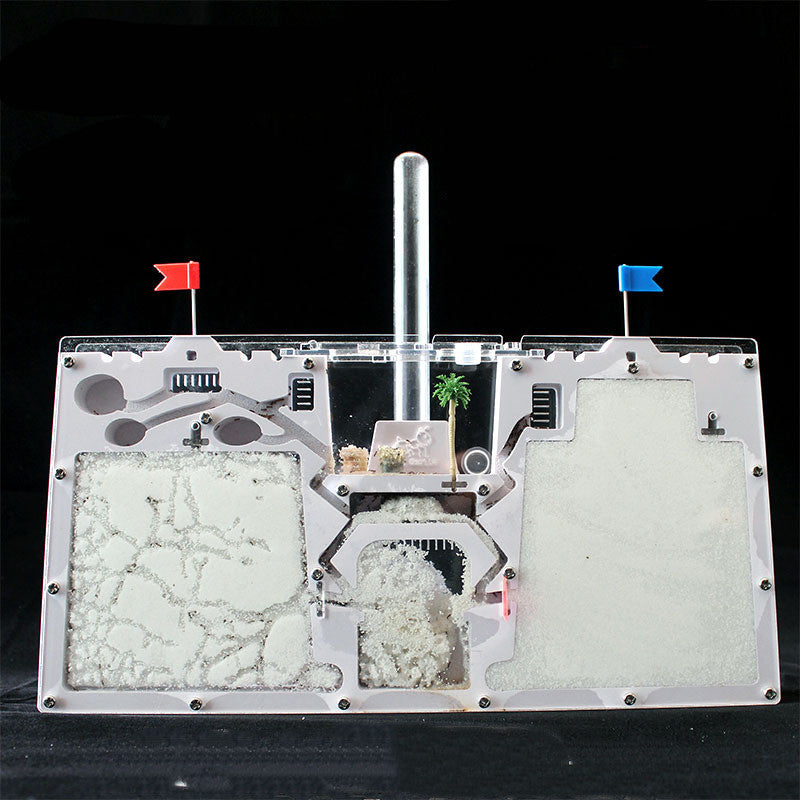 🐜🏰 Formicaio Ecologico "Ant Castle" in Sabbia - L'Ecosistema da Osservare