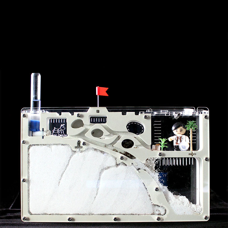 🐜🏰 Formicaio Ecologico "Ant Castle" in Sabbia - L'Ecosistema da Osservare