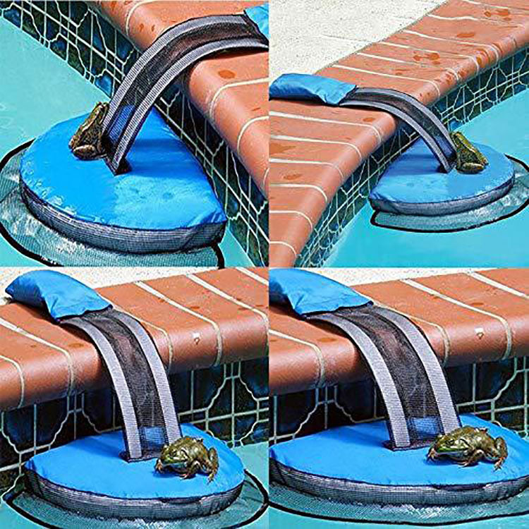 🐸🛟 Rampa di Salvataggio "Salva-Animali" per Piscina - Proteggi la Fauna e la tua Acqua!