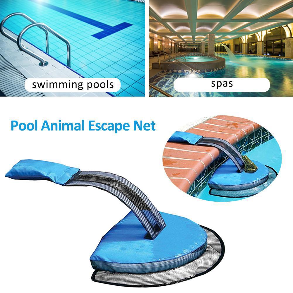 🐸🛟 Rampa di Salvataggio "Salva-Animali" per Piscina - Proteggi la Fauna e la tua Acqua!