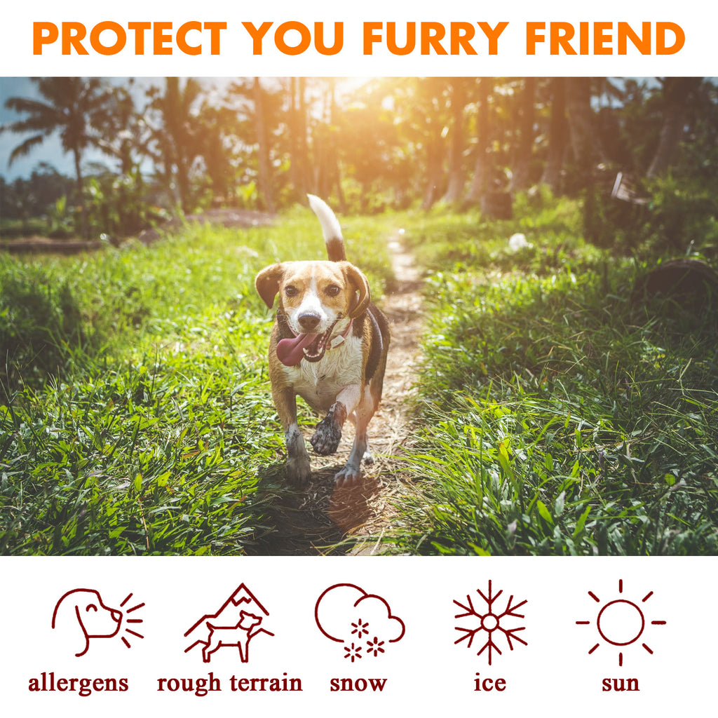 Paw Rescue – Balsamo Protettivo e Rigenerante per Zampe e Naso