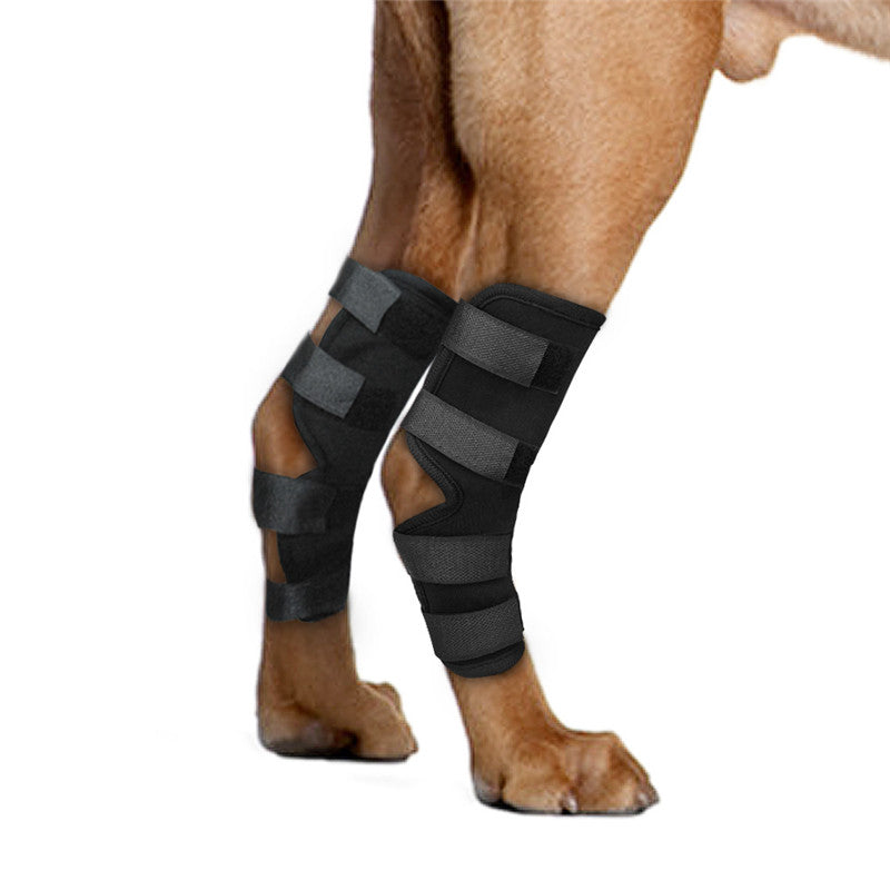 🩺🐾 Fascia Protettiva Ortopedica per Gomito del Cane - Recupero Rapido e Sicuro!