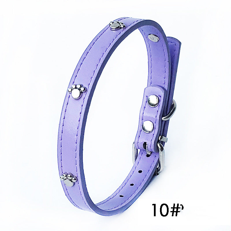 Set di 10 Collari in Ecopelle con Zampette: Il Guardaroba Perfetto! 🐾
