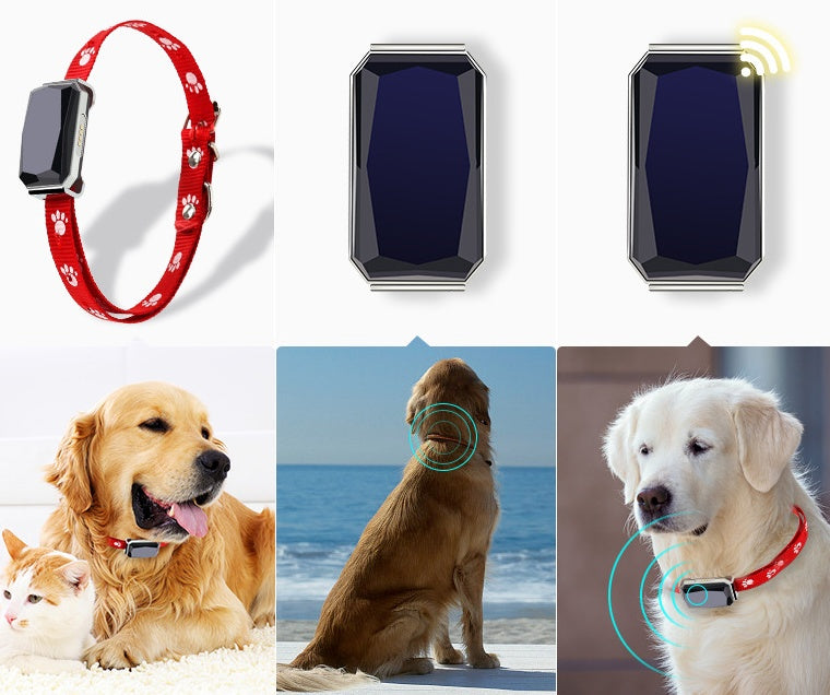 🌍📍 Collare Localizzatore GPS BeiDou per Cani con Luci LED - Massima Sicurezza!