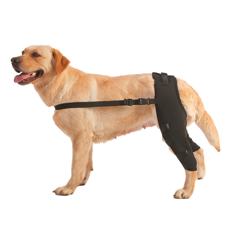 🩺🐾 Tutore Ortopedico di Supporto per Zampe Posteriori del Cane - Stabilità e Sollievo!