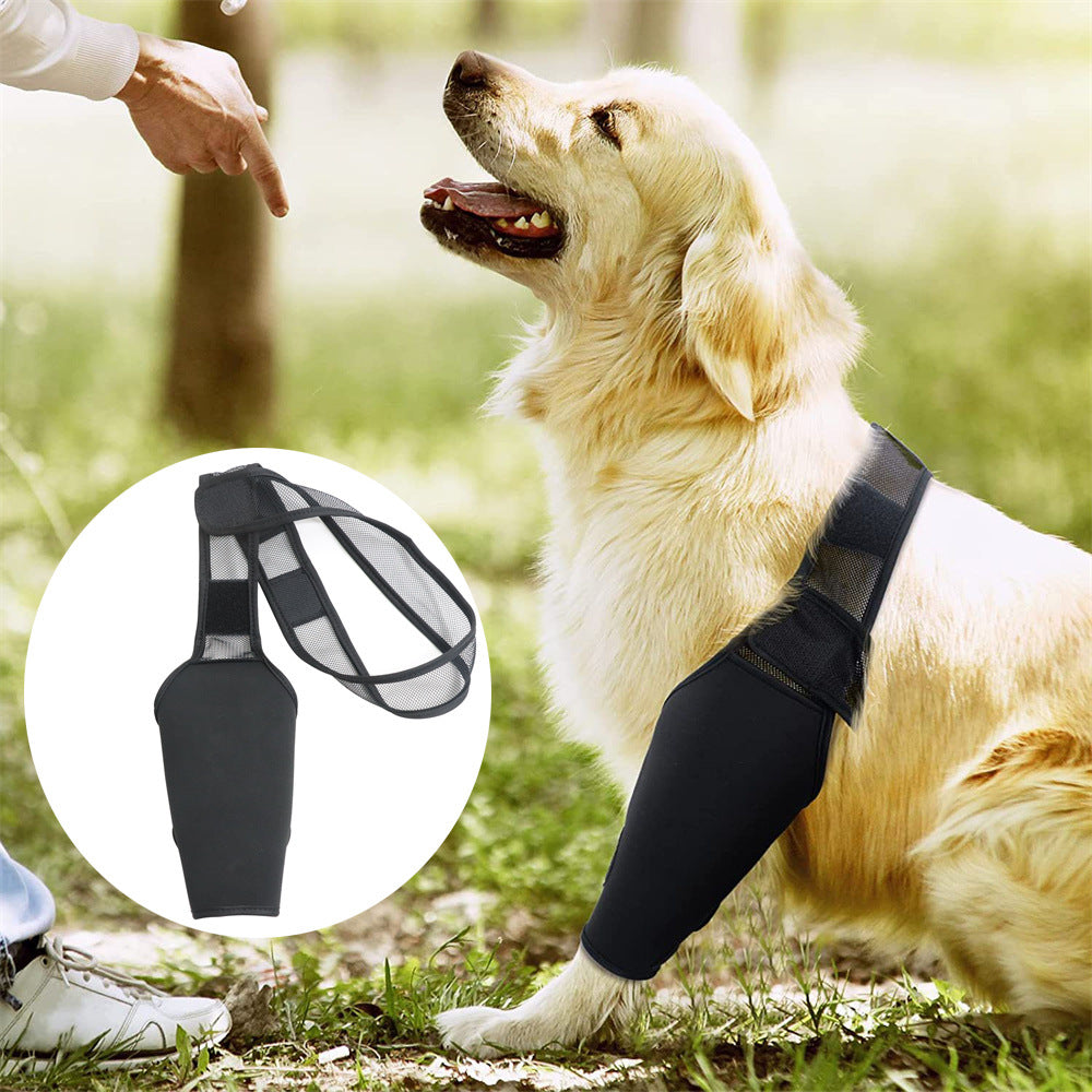 🩺🐾 Tutore Protettivo Ortopedico per Zampa del Cane - Supporto e Recupero Rapido!