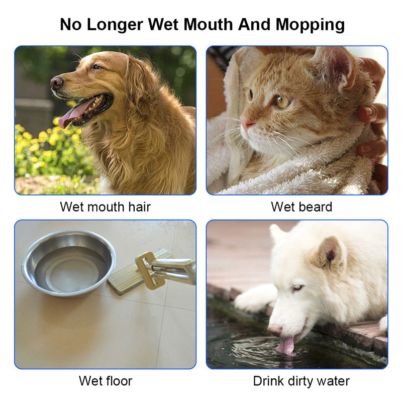 Ciotola Acqua Anti-Rovesciamento e Anti-Sgocciolamento per Cani e Gatti - Dispenser 1.5L