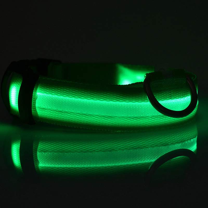 Collare LED ad Alta Visibilità: Sicurezza Assoluta al Buio 💡🐾