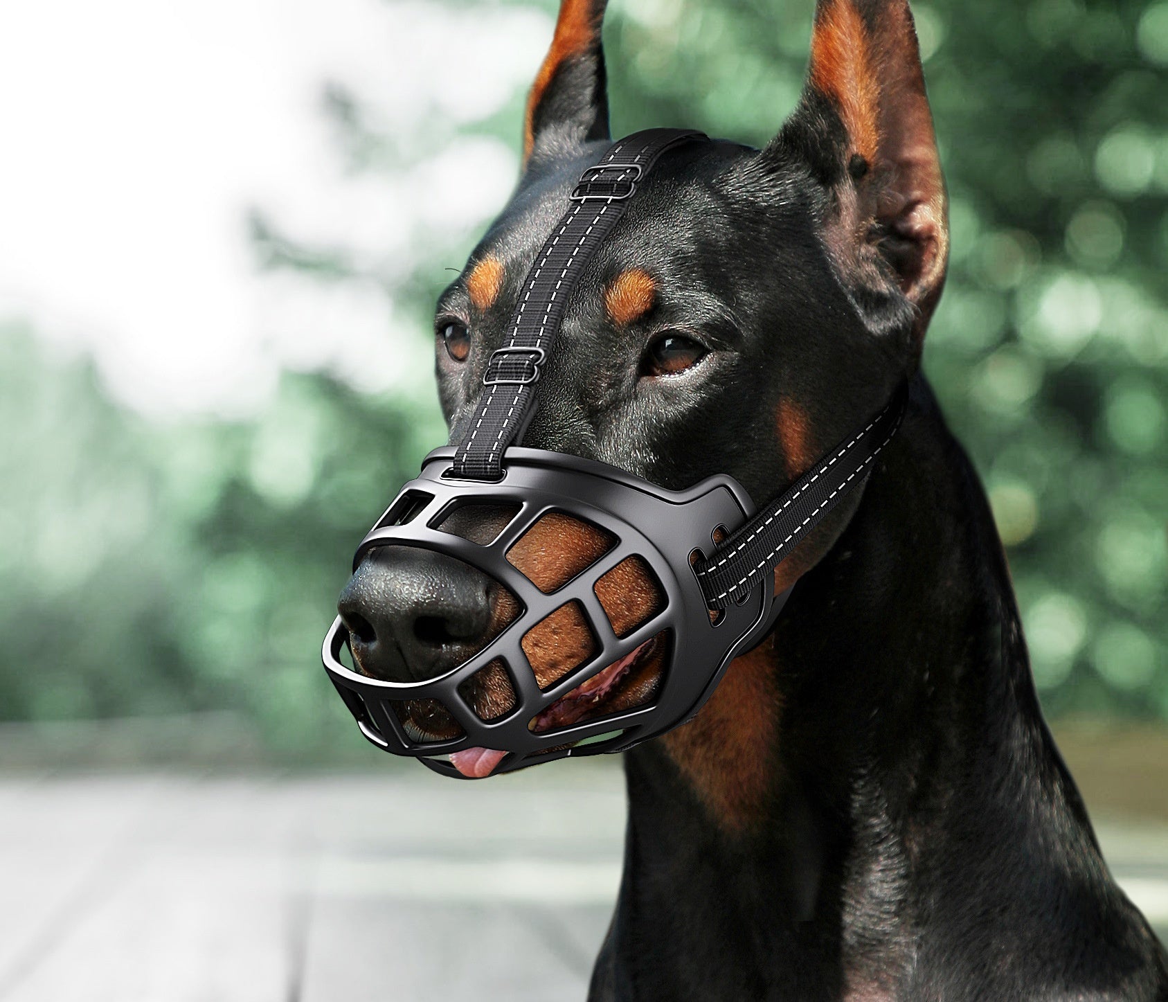 🐶🛡️ Museruola a Cesta Morbida e Regolabile - Sicurezza Senza Rinunciare al Comfort
