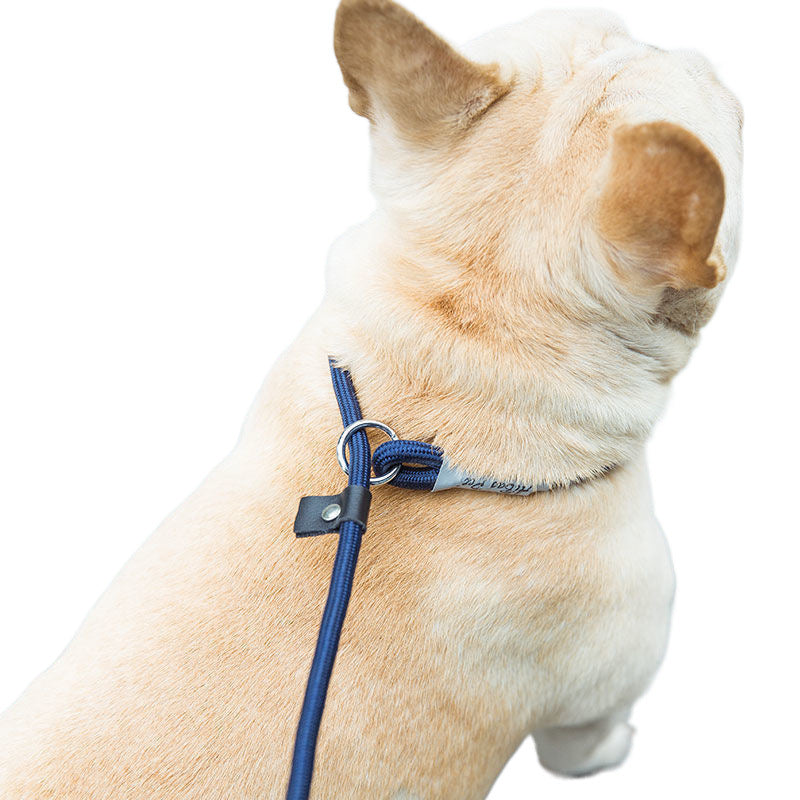 🐶🪢 Guinzaglio a Scorrimento in Morbida Corda Naturale - Eleganza e Controllo Rapido