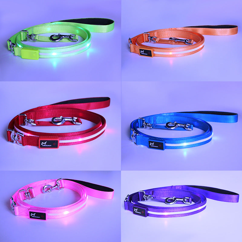 🐶💡 Guinzaglio Luminoso a LED Ricaricabile USB - Passeggiate Serali in Sicurezza!