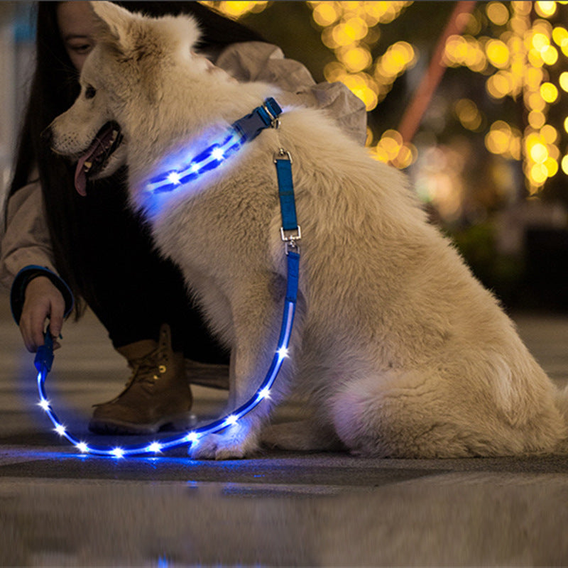 🐶💡 Guinzaglio Luminoso a LED Ricaricabile USB - Passeggiate Serali in Sicurezza!