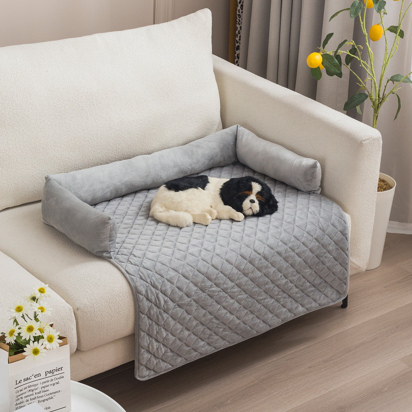 🛋️🛡️ Copri divano , Letto per Cani - Protezione Totale per Mobili e Comfort Extra!