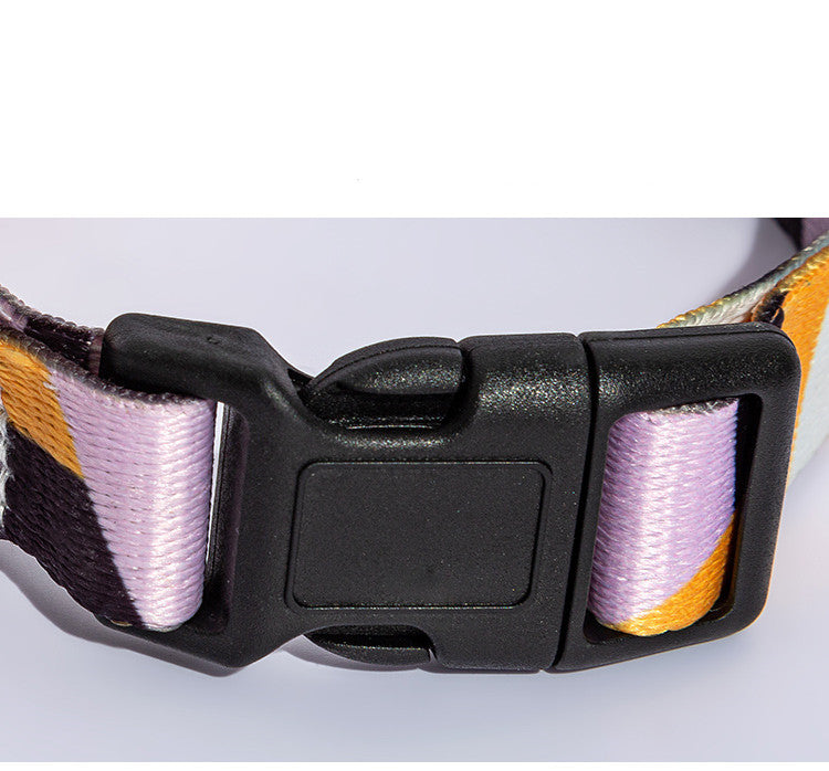 Set Collare e Guinzaglio con Fantasia Etnica: Stile Unico in Passeggiata! 🐕