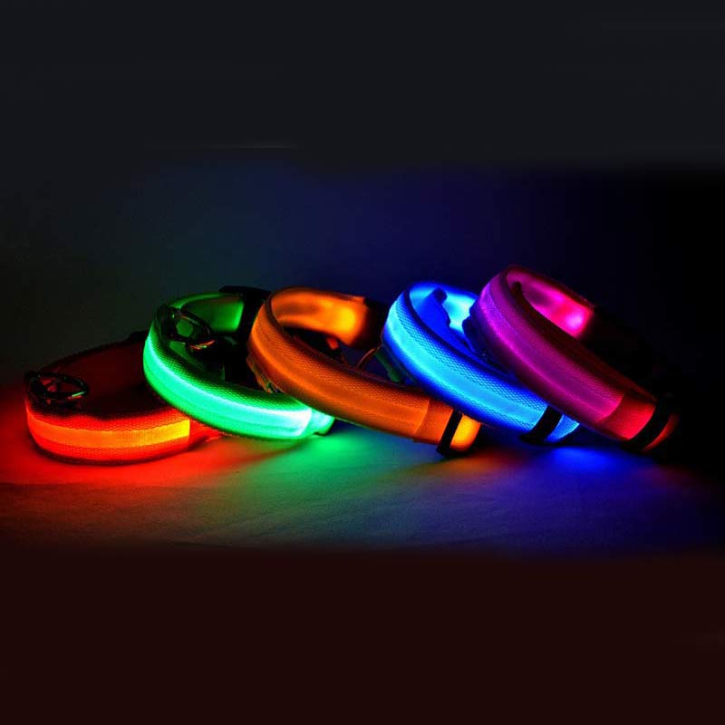 Collare LED ad Alta Visibilità: Sicurezza Assoluta al Buio 💡🐾