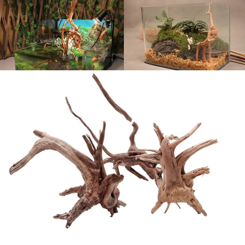 🌿🪵 Radice Naturale Sommersa per Acquario - Capolavoro di Aquascaping!