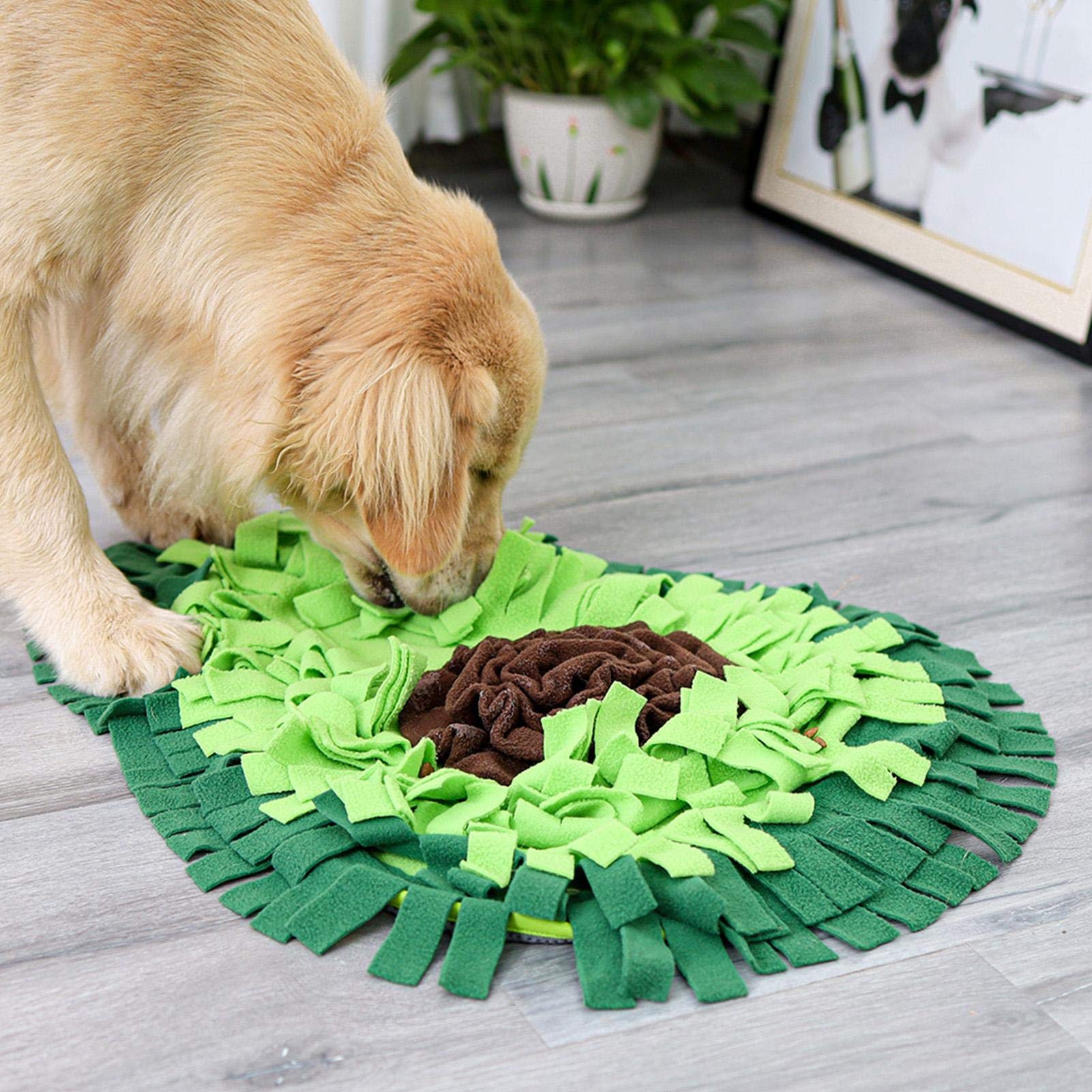🥑🐶 Tappetino Olfattivo " Snuffle Mat" per Cani - Allena il Fiuto e Sconfiggi la Noia!