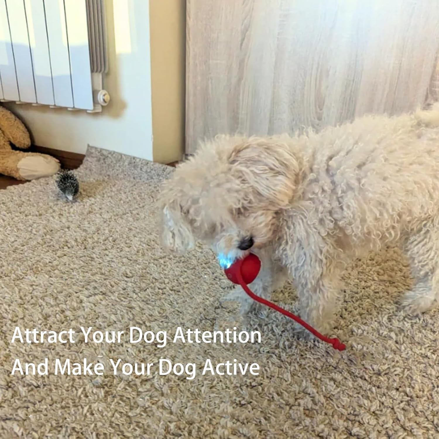 🐶⚽ Pallina Automatica Interattiva con Luce LED e Coda - Caccia al Tesoro Inesauribile!