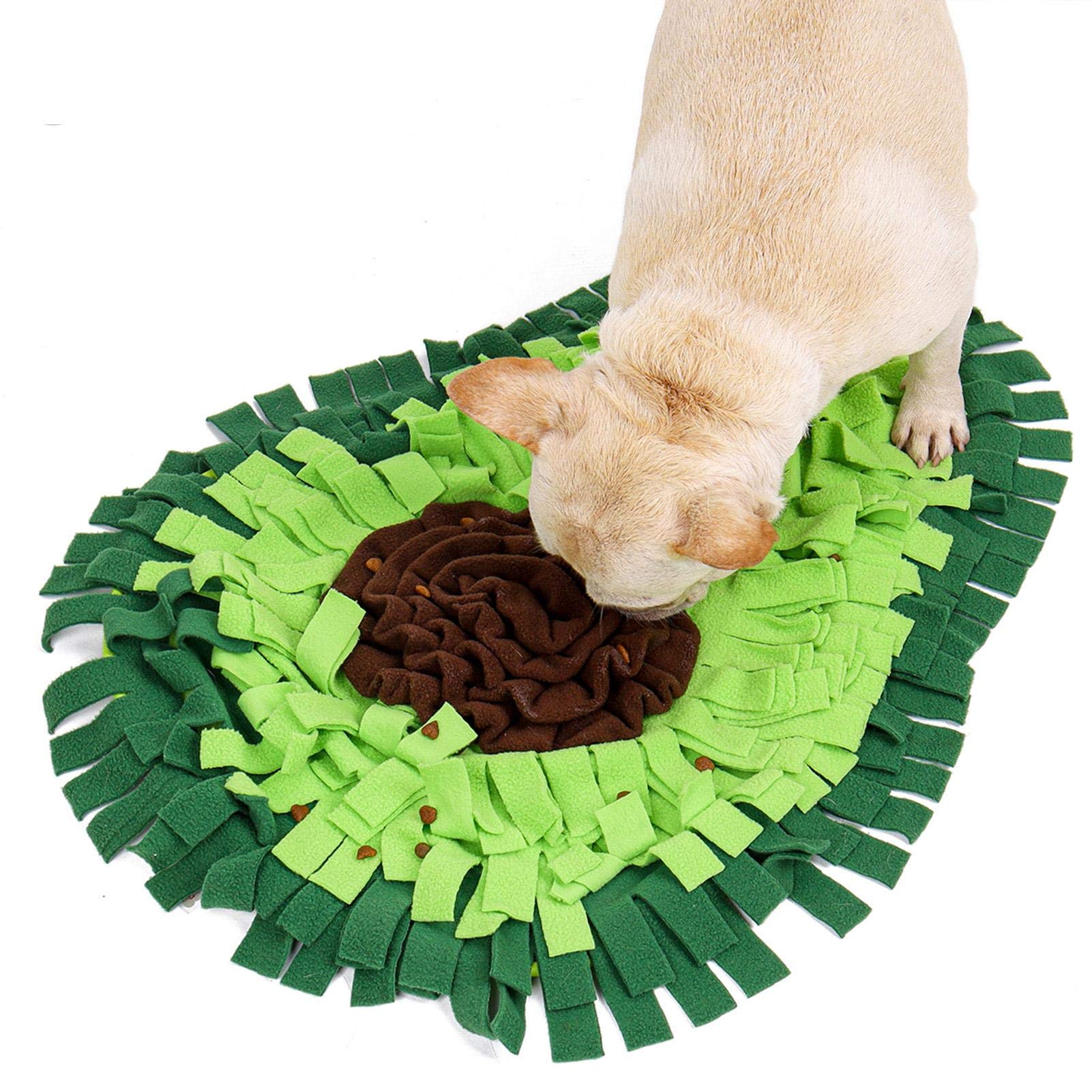 🥑🐶 Tappetino Olfattivo " Snuffle Mat" per Cani - Allena il Fiuto e Sconfiggi la Noia!