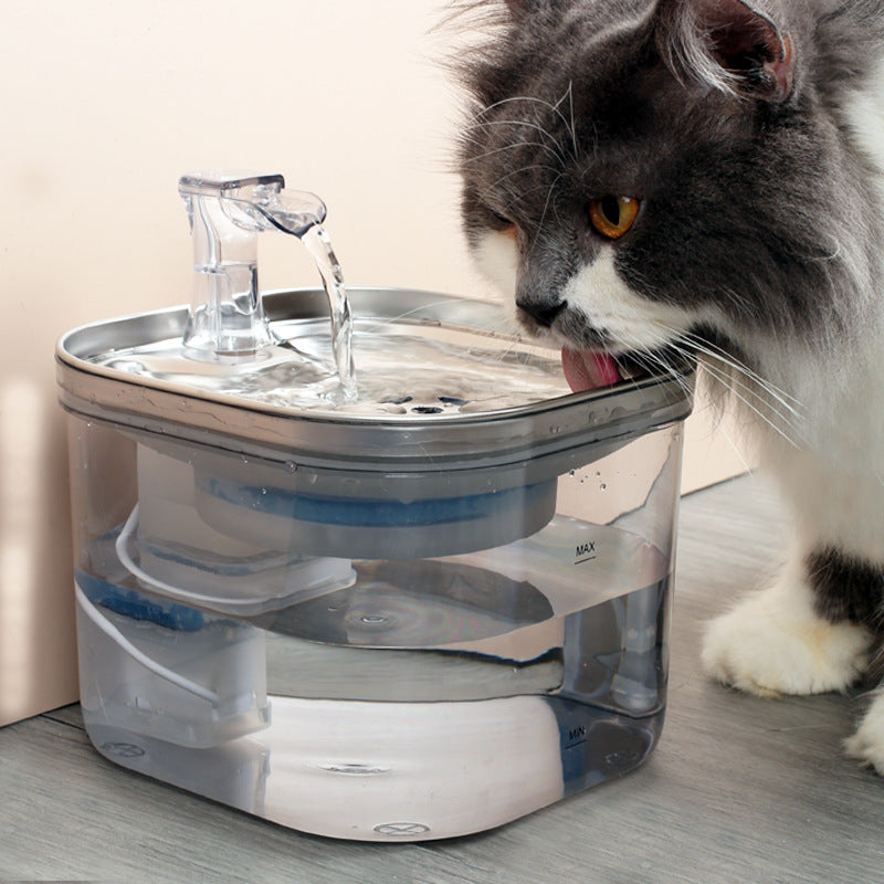 Fontana Automatica in Acciaio Inox: Acqua Sempre Fresca, Idratazione Sicura e Zero Batteri 💧🐈