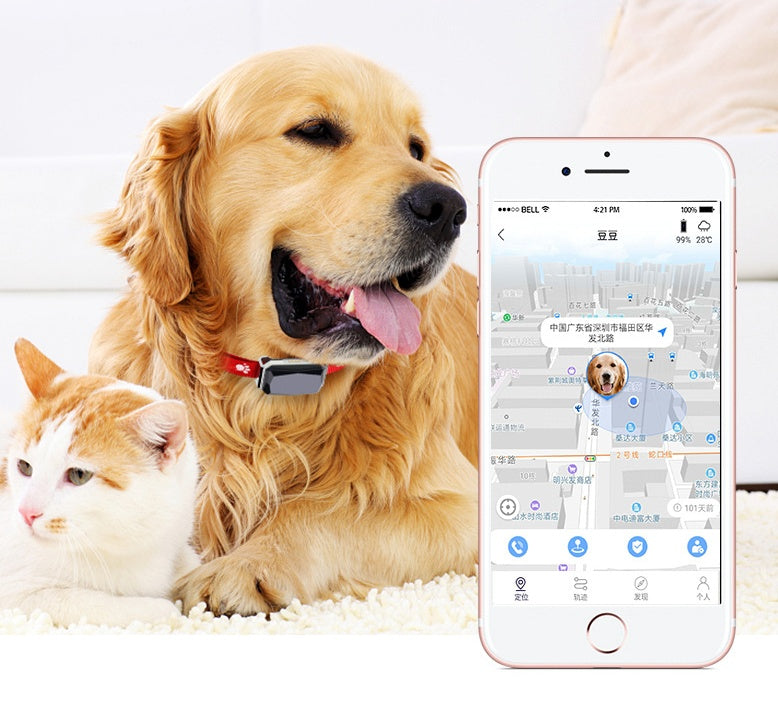 🌍📍 Collare Localizzatore GPS BeiDou per Cani con Luci LED - Massima Sicurezza!