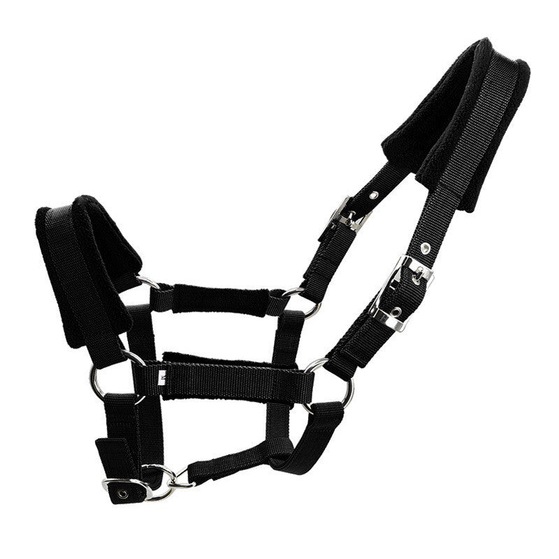 Capezza Premium Imbottita: Controllo Sicuro, Morbidezza Estrema e Zero Fiaccature 🐎✨