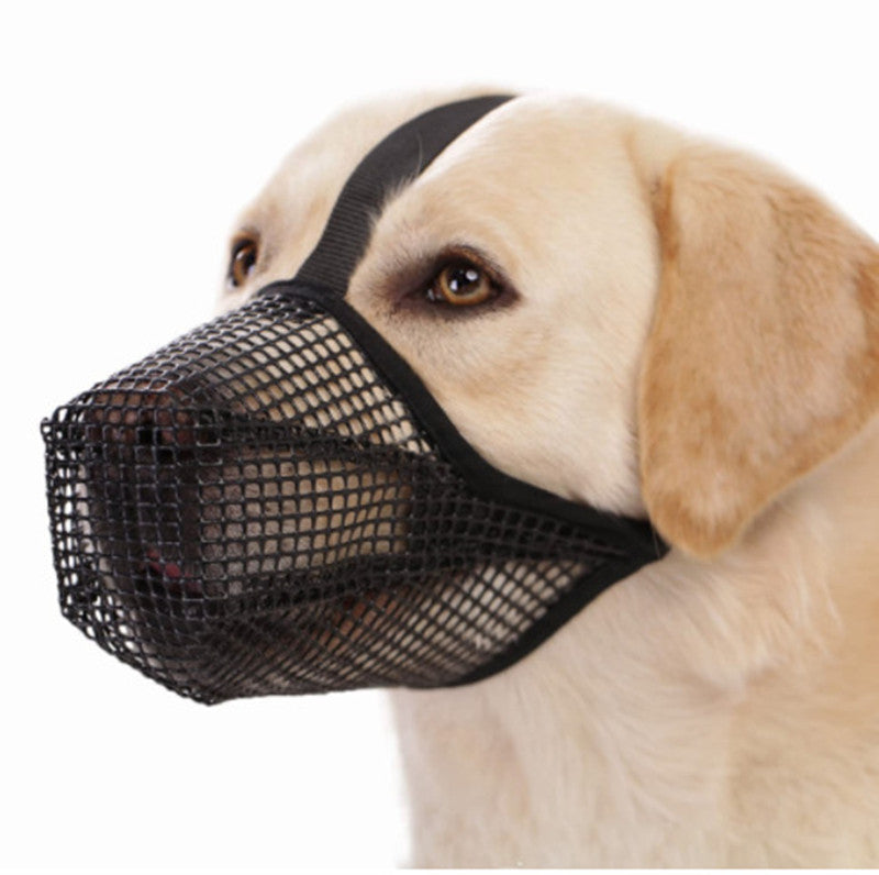 💨🐶 Museruola in Rete 3D Ultra-Traspirante - La Soluzione Fresca e Leggera!