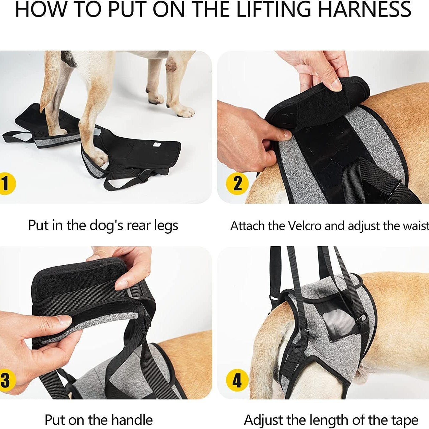 🐕🩹 Fascia di Supporto e Sollevamento per Zampe Posteriori del Cane - Aiuto alla Mobilità