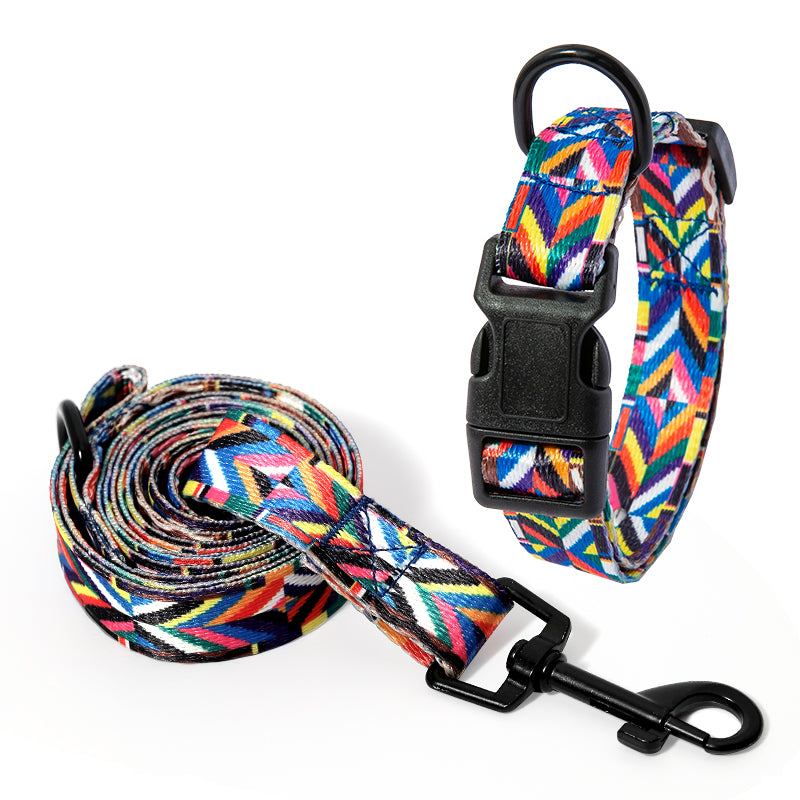 Set Collare e Guinzaglio con Fantasia Etnica: Stile Unico in Passeggiata! 🐕