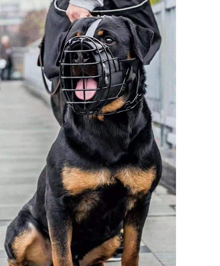 Museruola Tattica a Gabbia per Cani Grandi