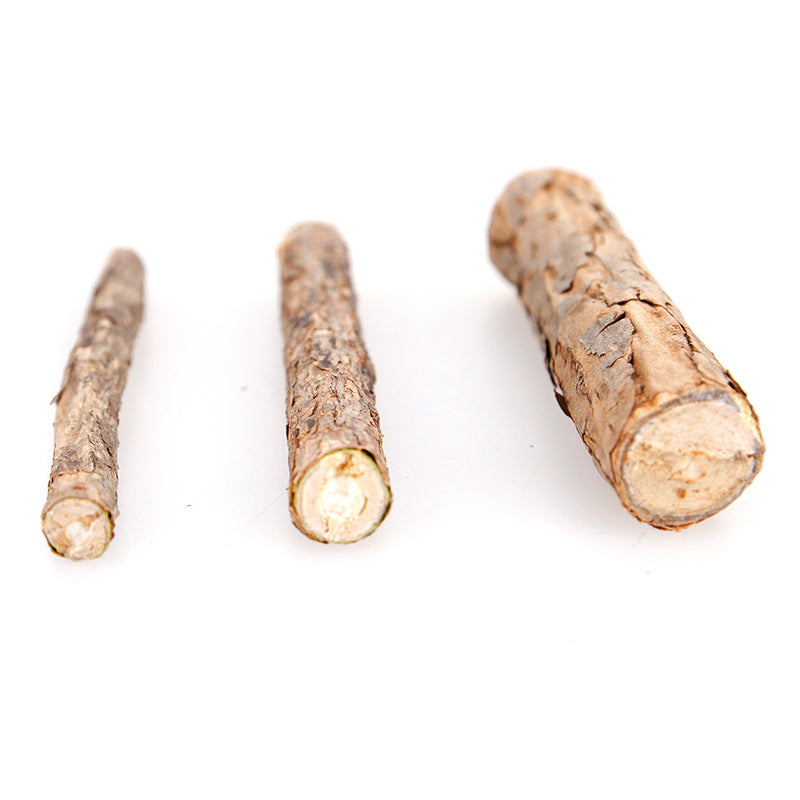 Bastoncini di Matatabi Naturale: Igiene Dentale, Gioco e Relax Felino 🌿😻