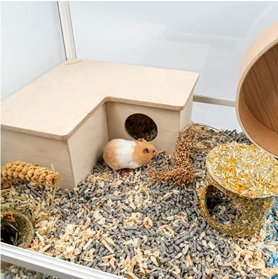Labirinto in Legno di betulla Multi-Stanza: Esplorazione Naturale, Tane Sicure e Zero Noia 🐹🪵