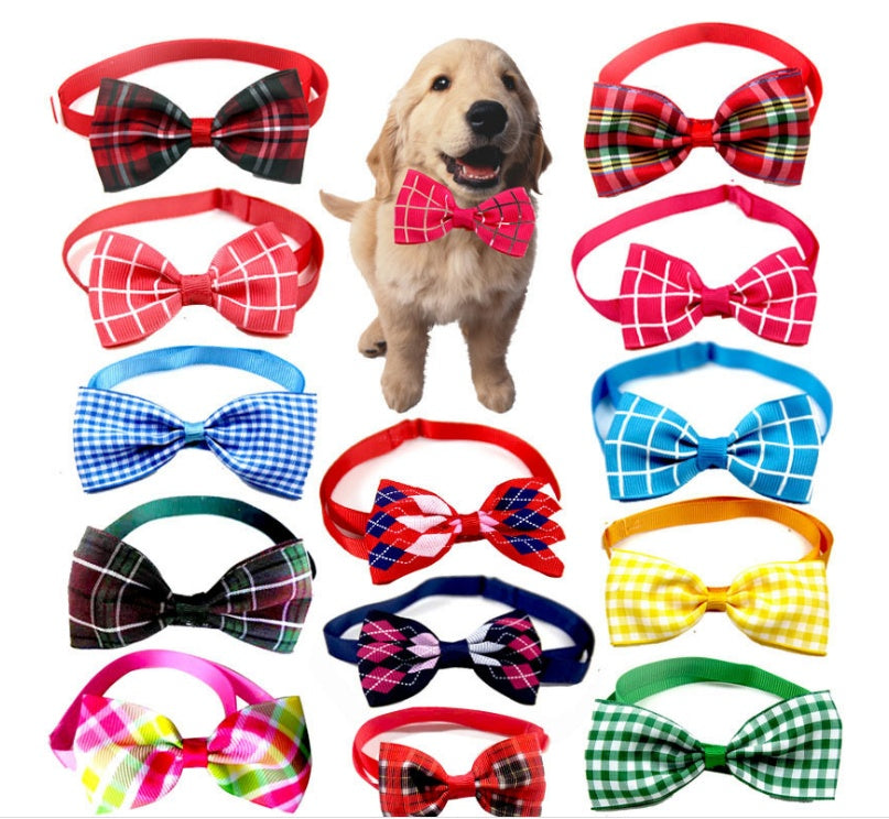 🐶🎀 Papillon Scozzese Elegante per Cani e Gatti - Stile da Gran Galà!