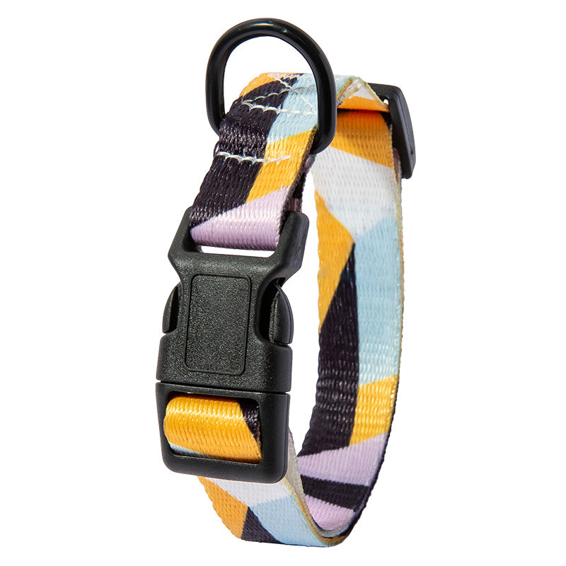 Set Collare e Guinzaglio con Fantasia Etnica: Stile Unico in Passeggiata! 🐕